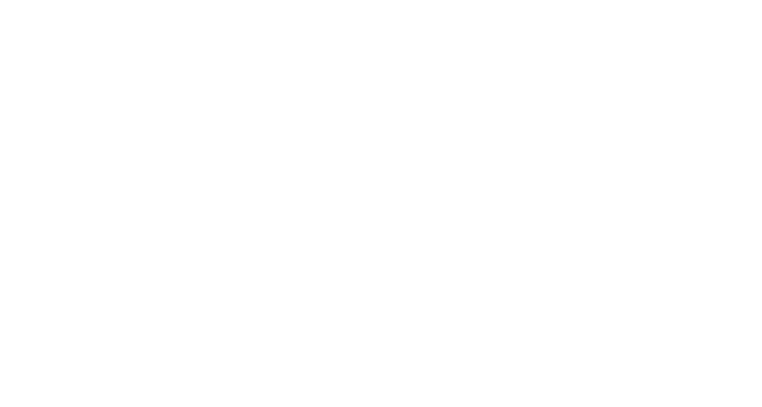 BSW_2026_Logo_erweitert_neg_RGB.png